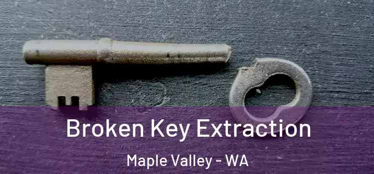  Broken Key Extraction Maple Valley - WA