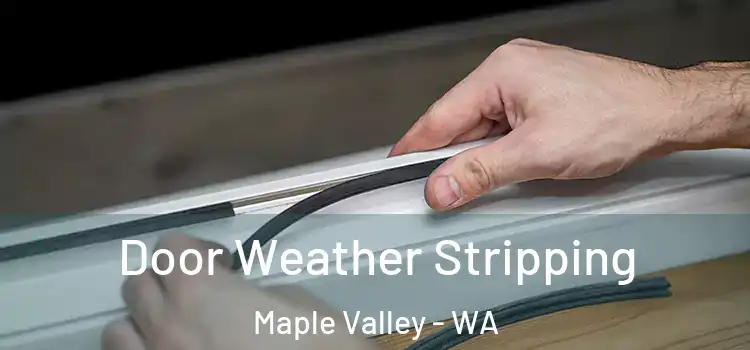 Door Weather Stripping Maple Valley - WA