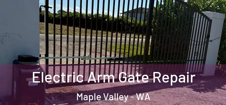 Electric Arm Gate Repair Maple Valley - WA