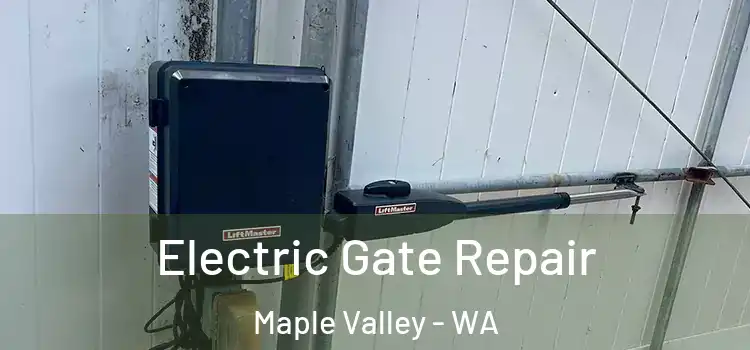  Electric Gate Repair Maple Valley - WA