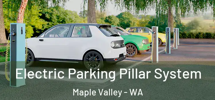 Electric Parking Pillar System Maple Valley - WA