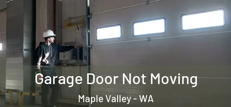  Garage Door Not Moving Maple Valley - WA