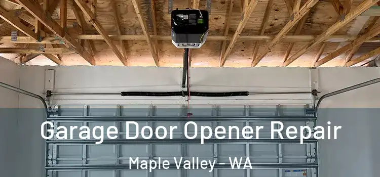  Garage Door Opener Repair Maple Valley - WA