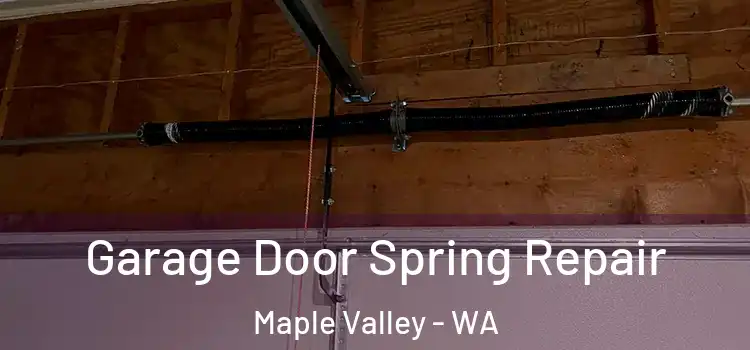  Garage Door Spring Repair Maple Valley - WA