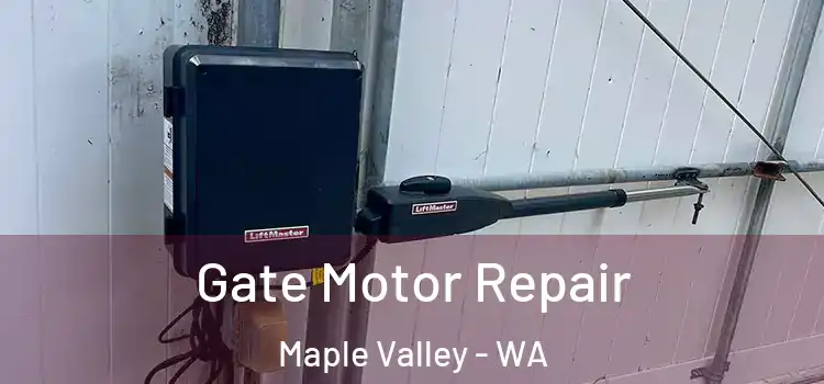 Gate Motor Repair Maple Valley - WA