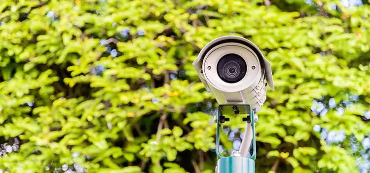 Advanced Surveillance Solutions for Every Need in Maple Valley