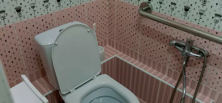 Meeting Diverse Needs With Accessible Restroom Solutions in Maple Valley, WA