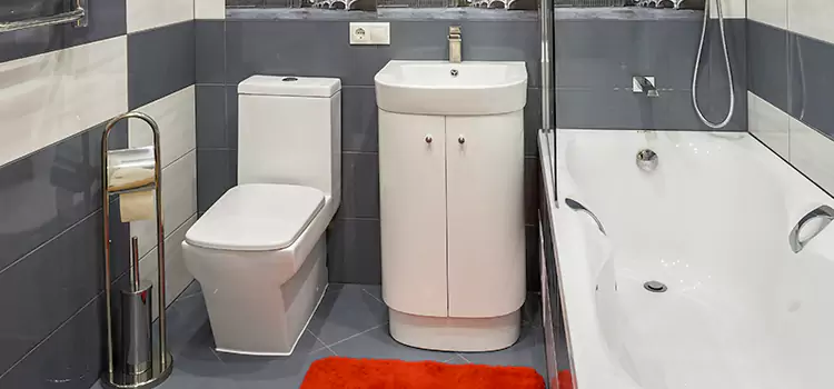 Hansgrohe Shaving Mirror Maple Valley