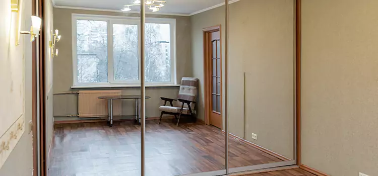 Mirror Closet Door Roller Replacement Maple Valley