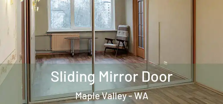  Sliding Mirror Door Maple Valley - WA